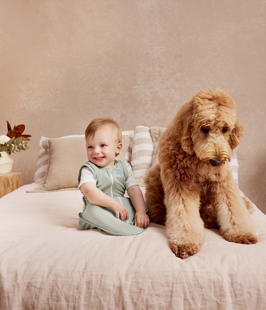 Swaddle Up™ Übergangspucksack 0.2 TOG Baumwolle Oliv